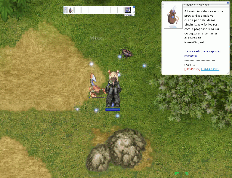 Arquivo:Novacapturateste2.gif